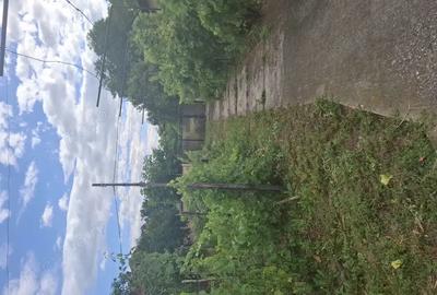 VIND casa curte Afumati - 4