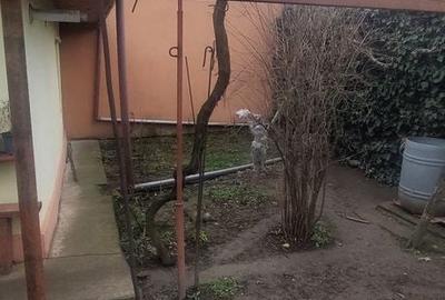 Casă cu 4 camere în Palazu Mare