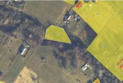 Teren Poiana Zvoristea cota parte 1/2, ID: R2850731 - 10