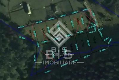 Teren intravilan parcelabil- Colibi?a, investitie - 6