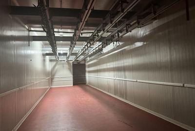 Hale functionale de inchiriat - spatii de depozitare si productie adaptabile - 6