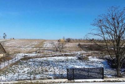 Teren de 2000 mp, în Moara