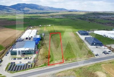 Oportunitate de Investi?ie sau Construc?ie Hala Teren 3.900 mp | Talmaciu - 1