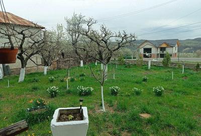 Casă cu 2 camere cu Teren 2650 Mp în Central - 7