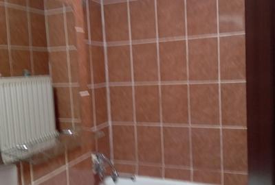 Apartament cu 2 camere semidecomandat în Racovița - 8