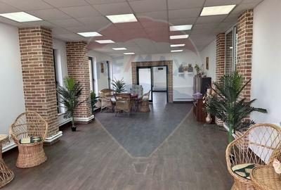 Proprietate specială, de 430,000 mp, în Adunații-Copăceni - 20