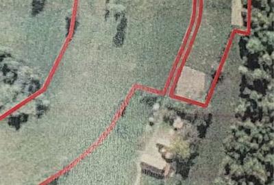 Teren de 15800 mp, în Poiana Mărului - 2