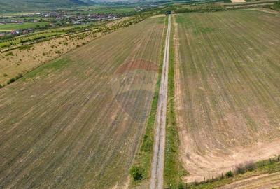 Teren 9.4 ha extravilan + casa 230 mp - 3