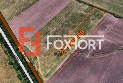 Teren agricol extravilan de 27500 mp, în Mehala
