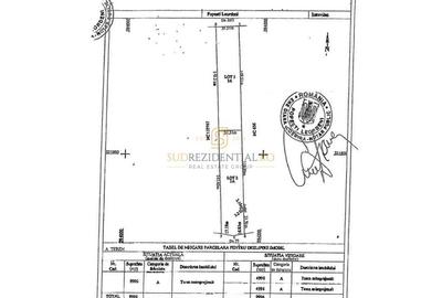 Teren intravilan 9.996 mp, Popesti-Leordeni–Splaiul Unirii - 6