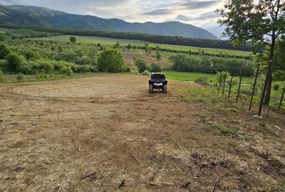 Teren de 2700 mp, în Tălmaciu - 6