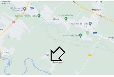 Teren Construcții intravilan de 950 mp, în Dumitrana - 3
