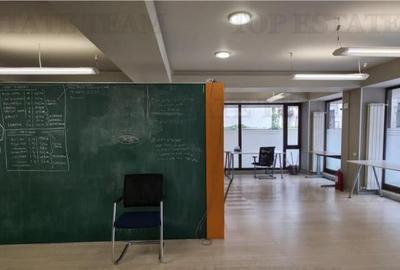 Birou/Apartament 4 camere cu gradina, zona Cismigiu - 3