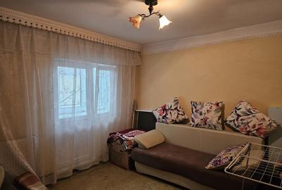 Urgent! Apartament 95 mp, Lunca Cetatuii - 8