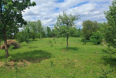 Teren de 2800 mp, în Periferie - 6