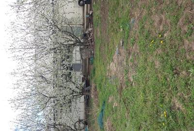 Vand casa noua in Chiscani - 7