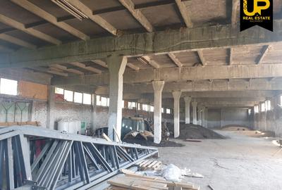 Spațiu industrial, de 16,000 mp, în Vernești - 2