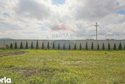 Spațiu comercial, de 700 mp, în Bod - 13