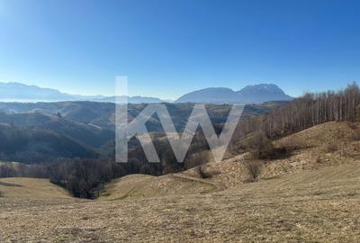 Teren 16469 mp extravilan arabil  Poiana Marului zona Vulcanita - 4