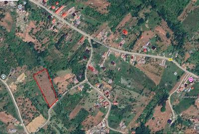 Spațiu comercial, în Uleni - 2