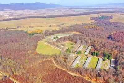 Teren Intravilan - Amplasare Unica - 13