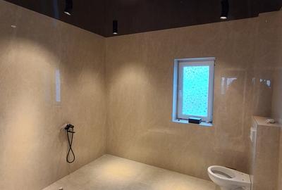 Casă cu 5 camere cu Teren 250 Mp în Central