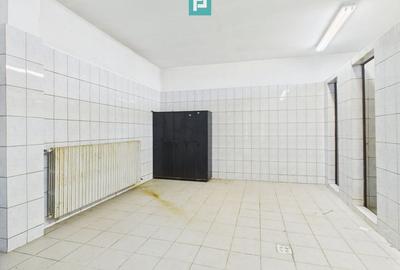 Hale 1800 mp fiecare – acces autostradă, Teiu, HD - 15