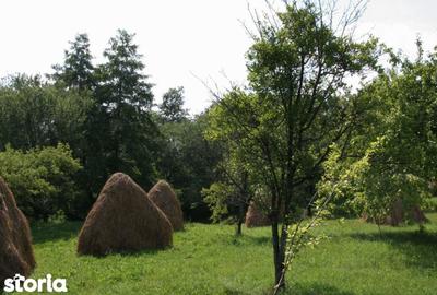 Teren de 5844 mp, în Valea Danului - 5