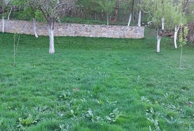 Vand casa in Garli?te - 1