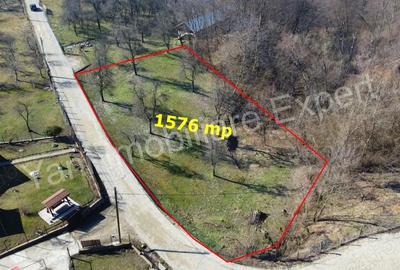 Teren de 1576 mp, în Borovinești - 1