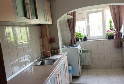 Apartament cu 2 camere în Paltin - 6