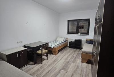 Proprietate speciala Dumbravita - casa individuala !! - 19