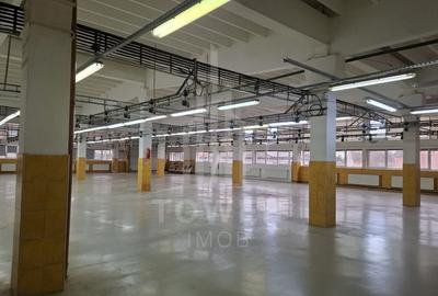 Hală de producție / depozitare – 1.300 mp utili, etaj 1, zona centrala - 5