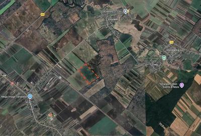 Teren de vanzare in comuna Tartasesti, jud. Dambovita - 2