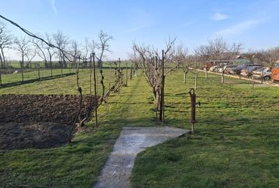 Casă cu 3 camere în Șofronea - 6