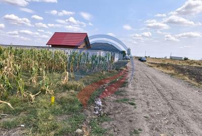 Teren de 5041 mp, în Pielești - 6