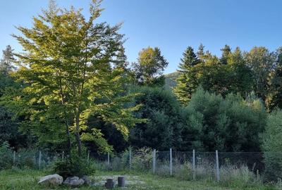 De vanzare CAMPING DARSTE - 2