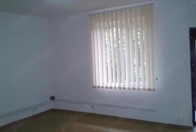 Spațiu comercial, de 950 mp, în Badea Cârțan - 7