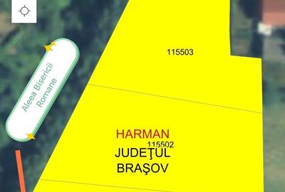 Spațiu comercial, în Hărman - 8