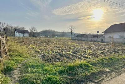 Teren de 1735 mp, în Hănțești - 2