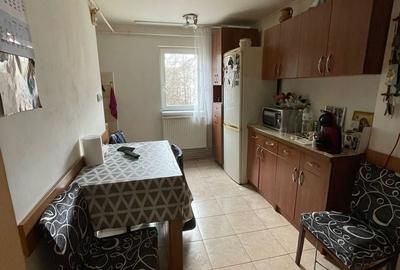 Apartament cu 3 camere semidecomandat, mobilat în Lipovei - 5