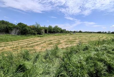Teren Construcții intravilan de 2720 mp, în Buturugeni - 15