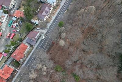 Teren Construcții intravilan de 1700 mp, în Castelul Peleș - 16