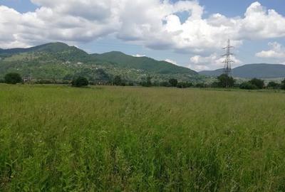 Teren de 1200 mp, în Vad