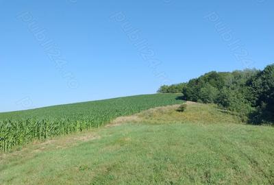 Teren în Valea Albă - 6