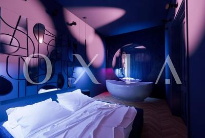 AX1077 Balcescu, Zona Istorica, Proiect Design - 15