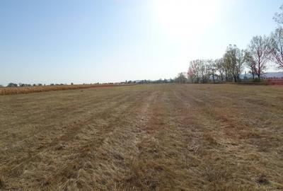 Teren agricol extravilan de 30000 mp, în Băicoi - 6