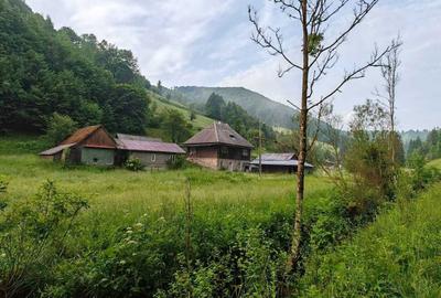 Casă cu 4 camere în Avram Iancu - 1