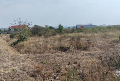 Teren de 2868 mp, în Tileagd - 5