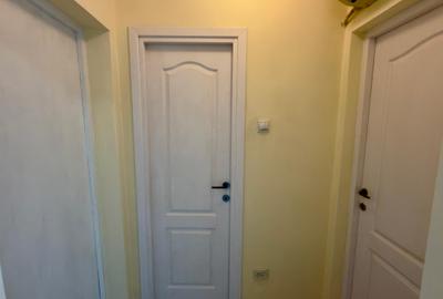 Apartament cu 3 camere, mobilat în Drumul Taberei - 20